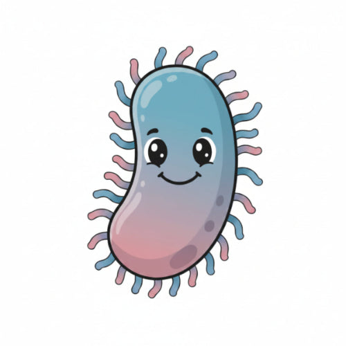 Legionella bacteria