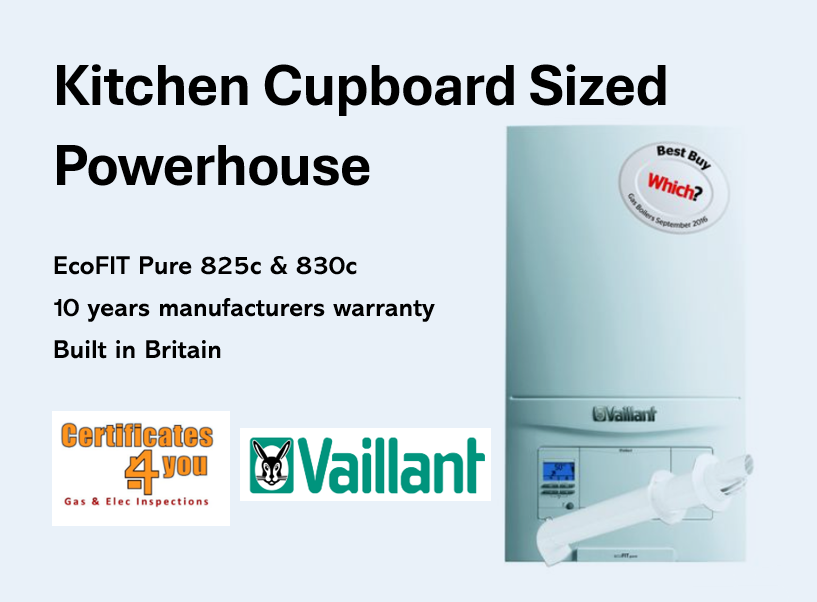 Boiler with flue and filter